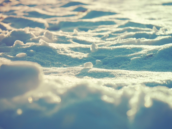 かくれんぼ♪　雪景色　河口湖・大石公園（foto９枚）
