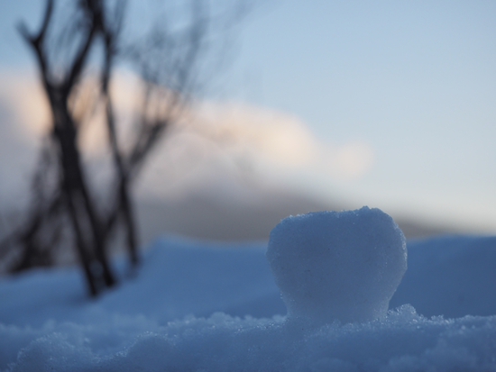 かくれんぼ♪　雪景色　河口湖・大石公園（foto９枚）