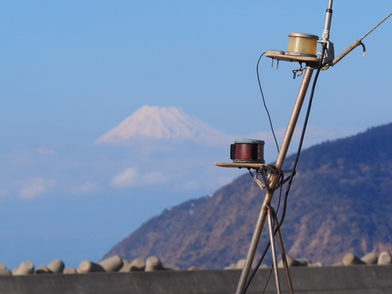 カーフェリーと富士山　そしてビンテージカーとニャン吉達・・・・・