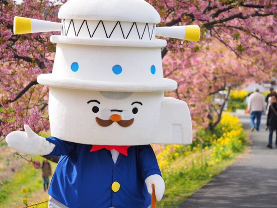 南伊豆見納めの河津桜　みなみの桜と菜の花まつり