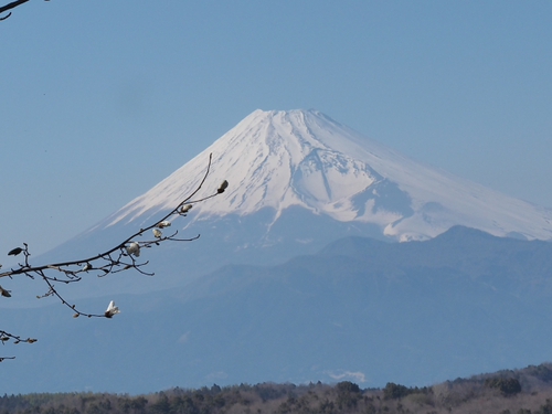 匠の村　伊豆修善寺　虹の郷