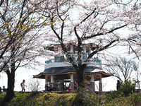 富士見百景　権現山展望台　弘法山公園