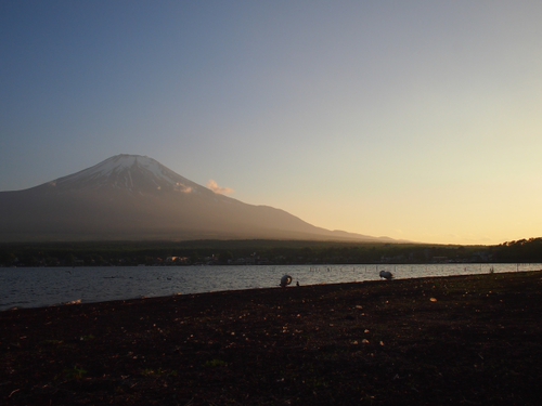 白鳥と富士山　山中湖