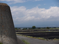 空振りしたけど いい所見つけた！！　桜えび干しと富士山と滑空所