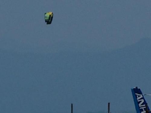 空振りしたけど いい所見つけた！！　桜えび干しと富士山と滑空所