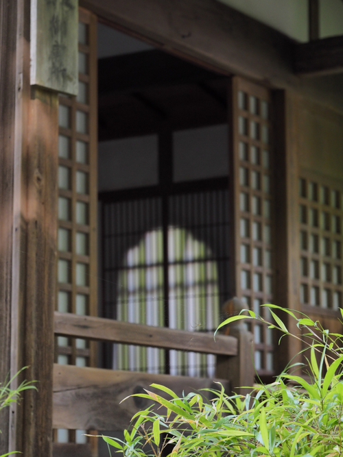 美しい明月院ブルー　鎌倉あじさい寺（ｆｏｔｏ 13枚）