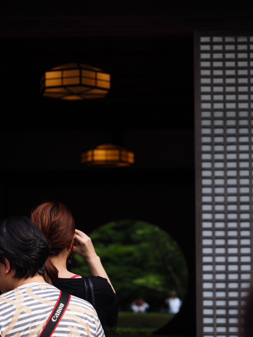 美しい明月院ブルー　鎌倉あじさい寺（ｆｏｔｏ 13枚）