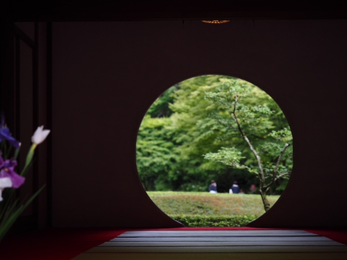 美しい明月院ブルー　鎌倉あじさい寺（ｆｏｔｏ 13枚）