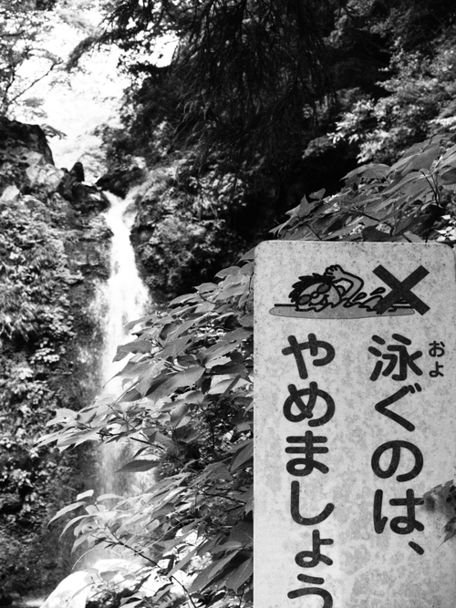 愛鷹山系随一の美しい渓谷にある緑豊かな大棚の滝