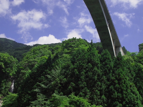 愛鷹山系随一の美しい渓谷にある緑豊かな大棚の滝