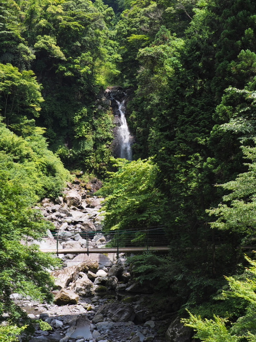 愛鷹山系随一の美しい渓谷にある緑豊かな大棚の滝