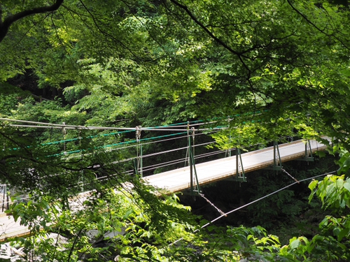 愛鷹山系随一の美しい渓谷にある緑豊かな大棚の滝