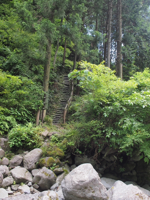 愛鷹山系随一の美しい渓谷にある緑豊かな大棚の滝