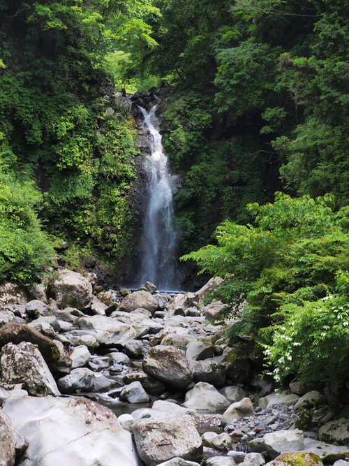 愛鷹山系随一の美しい渓谷にある緑豊かな大棚の滝