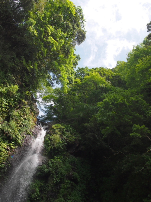 愛鷹山系随一の美しい渓谷にある緑豊かな大棚の滝