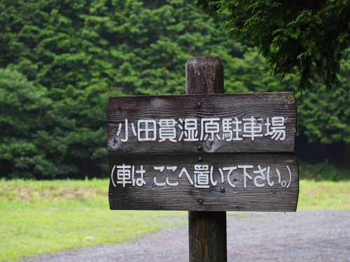 田貫湖と小田貫湿原　ハイキング