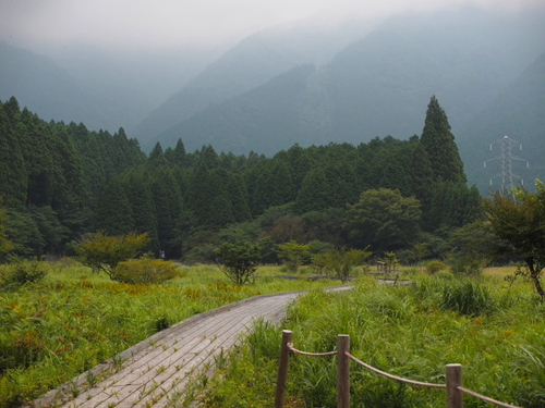 田貫湖と小田貫湿原　ハイキング