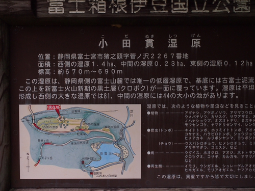 田貫湖と小田貫湿原　ハイキング