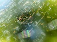 箱根　やすらぎの森で森林浴しながら散策