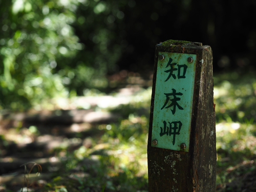 箱根　やすらぎの森で森林浴しながら散策