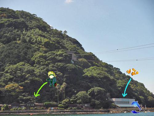 無人島にある小さな水族館♪　あわしまマリンパーク　