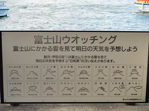 無人島にある小さな水族館♪　あわしまマリンパーク　