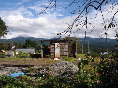 秋の風景♪　柿の木と青空とジャンクな小屋