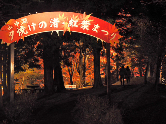 妖しく燃える赤♪　山中湖夕焼けの渚　紅葉まつり　ライトアップ　プチ紅葉情報2015