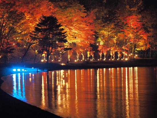 妖しく燃える赤♪　山中湖夕焼けの渚　紅葉まつり　ライトアップ　プチ紅葉情報2015