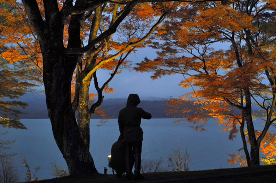 妖しく燃える赤♪　山中湖夕焼けの渚　紅葉まつり　ライトアップ　プチ紅葉情報2015