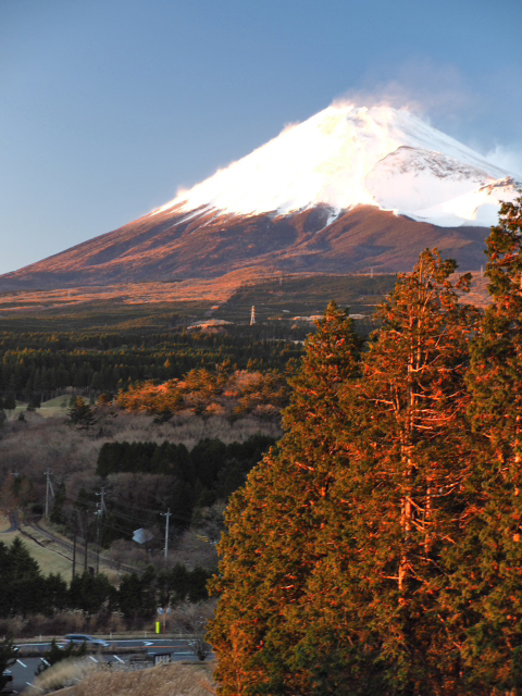 十里木パーキング　展望からの富士山　ススキの原っぱもなかなか・・・