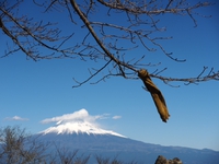 ＧＷにいかが？　動画　浜石岳山頂からの富士山の眺望　2015年11月27日