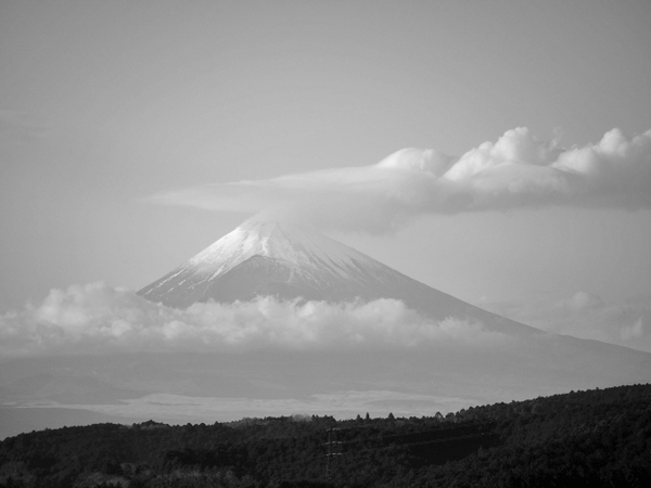 例の場所へ行って来たよ！！　高所恐怖症克服か？？　三島スカイウォークで富士山を眺む♪