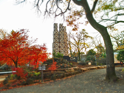 昭和レトロも漂う　三島　楽寿園