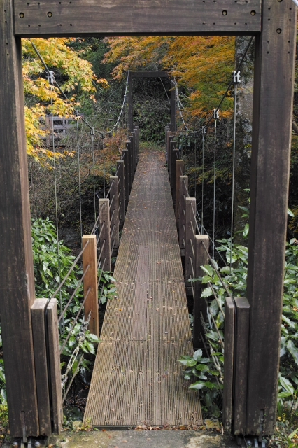 蔦の細道シリーズ№3　　吊橋