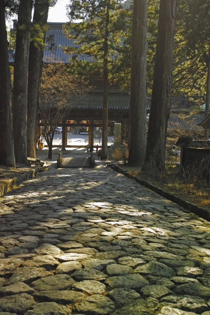 身延山久遠寺　三門より