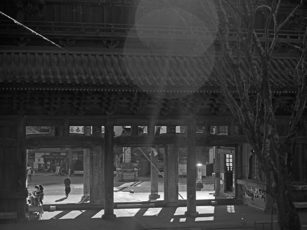 身延山久遠寺　三門より