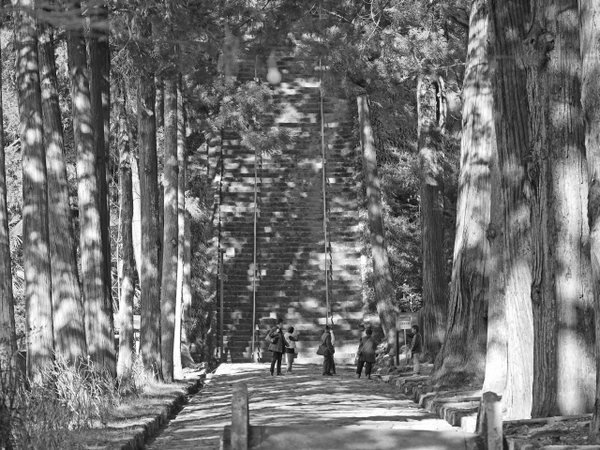 菩提梯（ぼだいてい）　身延山久遠寺