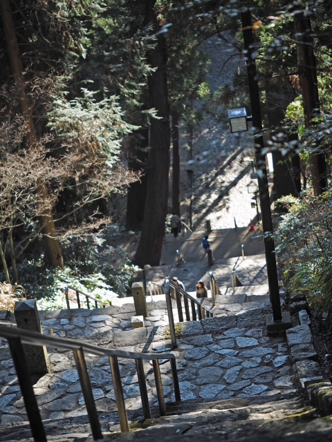 菩提梯（ぼだいてい）　身延山久遠寺