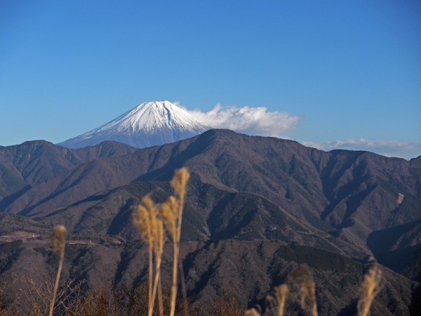 身延山ロープウェイ山頂の展望台　３ヵ所