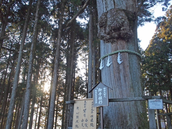 身延山山頂　奥之院　思親閣