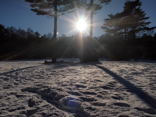 雪景色の恩賜林庭園　　富士吉田