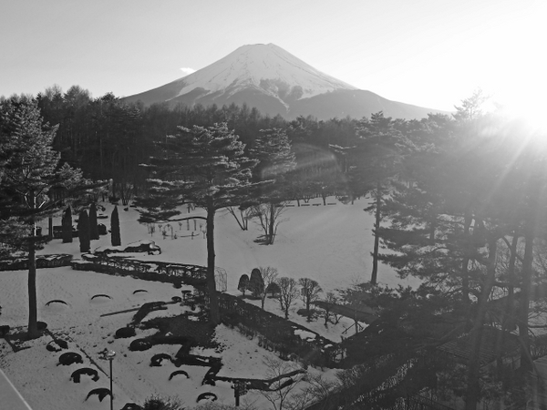 雪景色の恩賜林庭園　　富士吉田