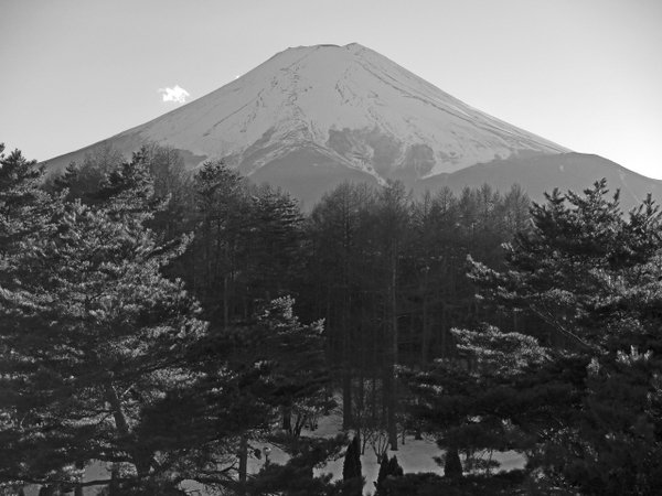 雪景色の恩賜林庭園　　富士吉田