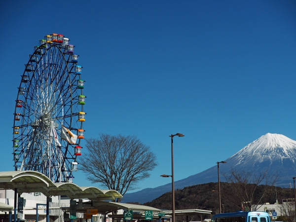 あともうちょっと　富士川SA　　市場でネギを買って帰る