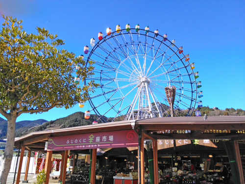 あともうちょっと　富士川SA　　市場でネギを買って帰る