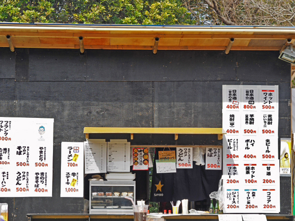 枝垂れ桜　荒井城址公園　真鶴　