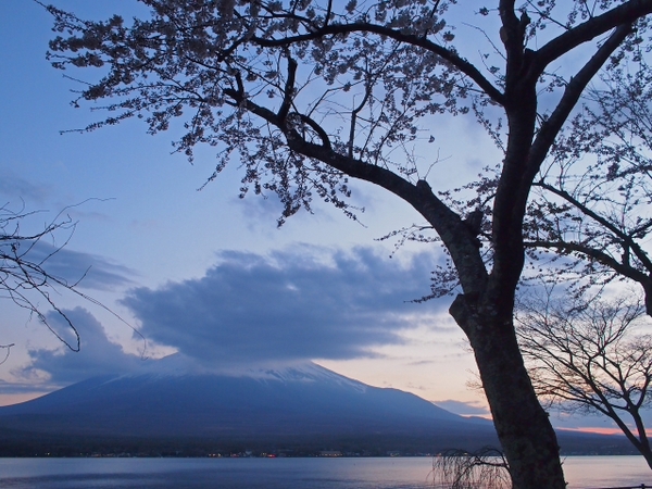 まだ春が来たばかりの山中湖