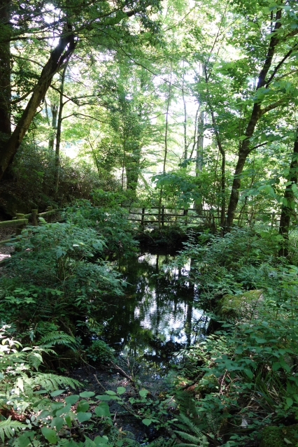 萬城（ばんじょう）の滝　　伊豆　滝めぐり　NO1