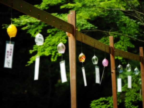 河津七滝（かわずななだる）　伊豆　滝めぐり　NO2